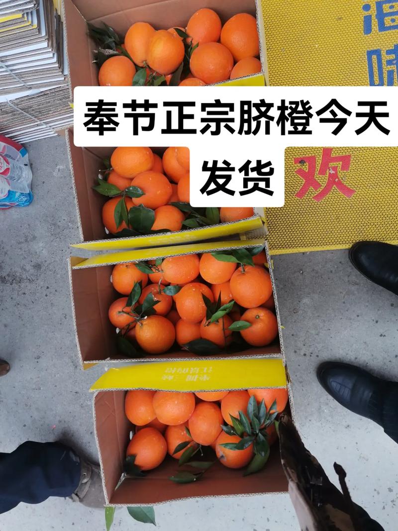 重庆奉节房产抵押贷款额度及条件(奉节房产交易网)